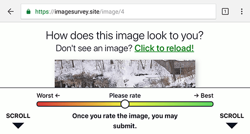 The survey with the clipped image, but now there is a downward-pointing arrow with the word “Scroll”.
