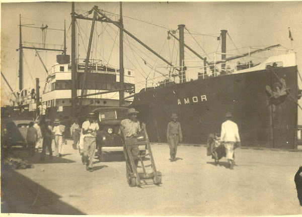 A photograph of a ship called SS Amor, taken by the author’s grandfather in the West Indies in 1939.