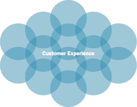 Diagram showing that customer experience is an example of a functional unit within an organization.
