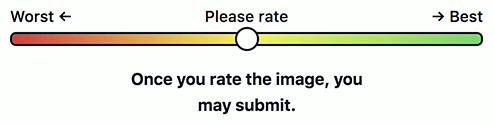 The revised slider followed by the text “Once you rate the image, you may submit.”