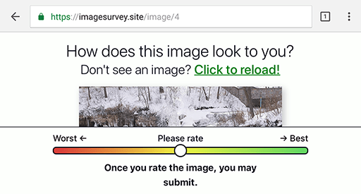 Screen shot of the survey with an image clipped at the bottom by the viewport and rating slider.
