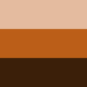 Image showing three distinct brown hues (all set at 26 degrees).